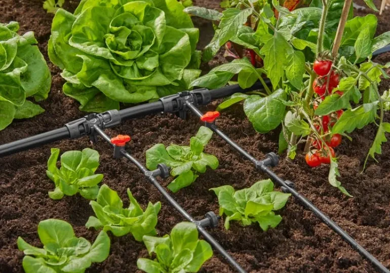 Goutteur en ligne régulateur de pression 2l/h GARDENA x10
