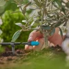 Goutteur réglable Micro-Drip GARDENA x15