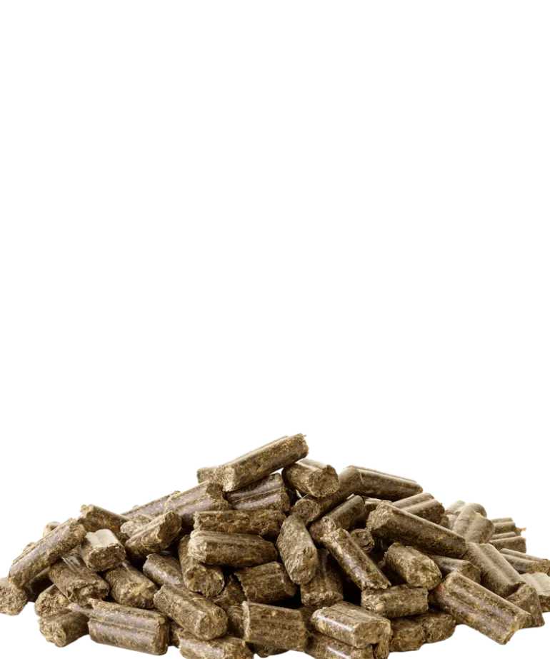 Granulés lapin 2kg