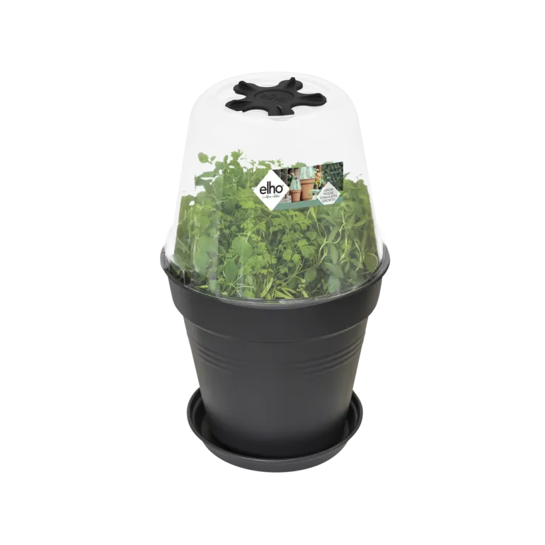 Green basics serre de culture ronde 30cm transparent
