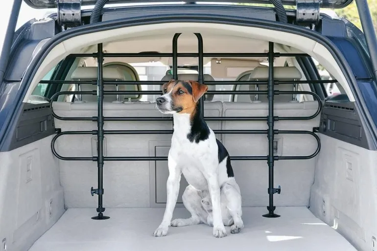 Grille de sécurité pour voiture universelle