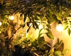 Guirlande tradition 10 LED blanc chaud 5m prolongeable