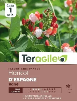 Haricot d'Espagne Varié 10g TERAGILE
