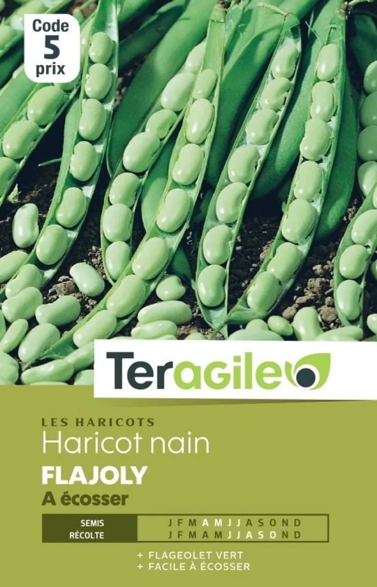 Haricot Nain Flajoly à écosser 30g TERAGILE