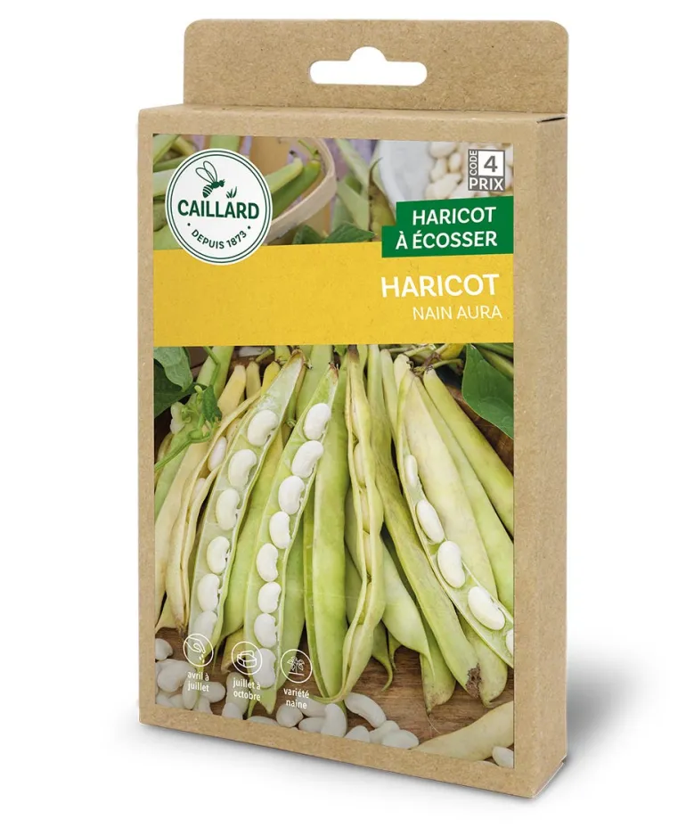 Haricot Nain Aura 100g CAILLARD