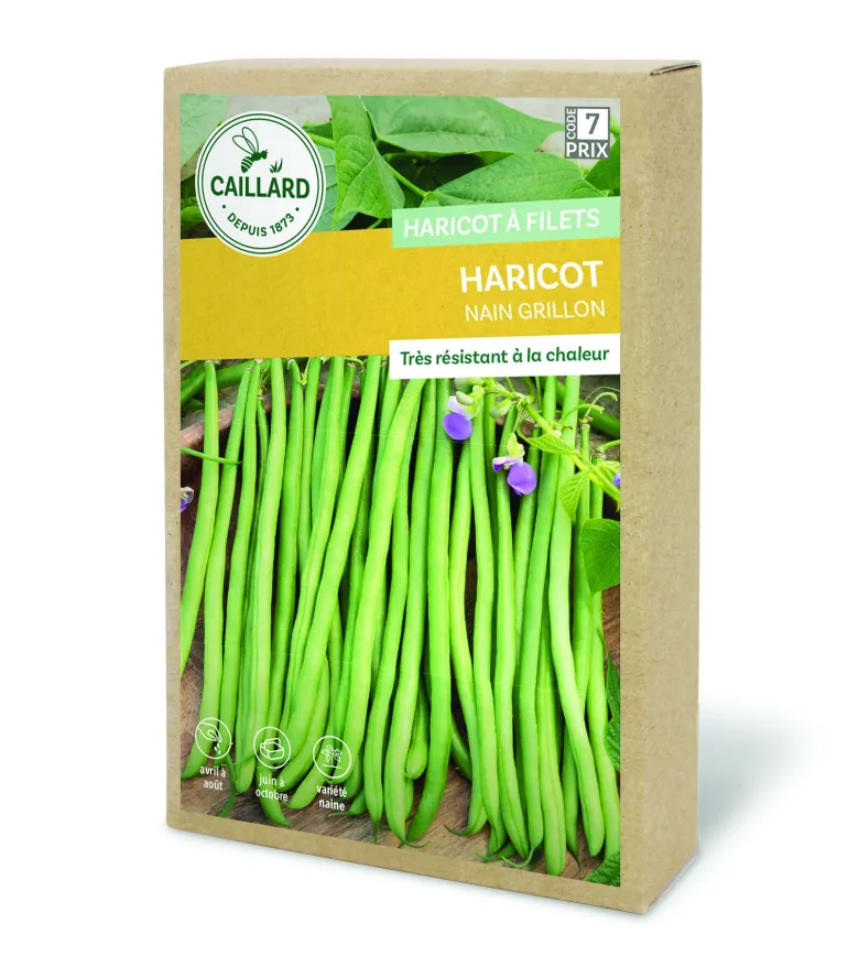 Haricot nain Grillon 200g CAILLARD