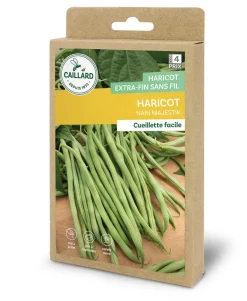 Haricot Nain Majestik 100g CAILLARD