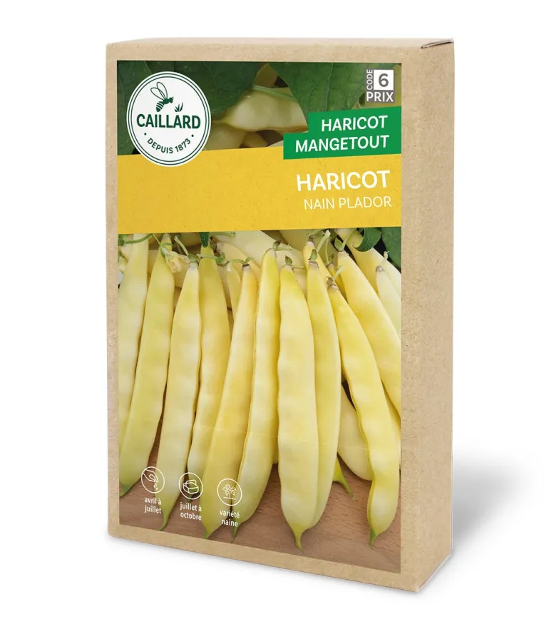 Haricot Nain Plador 200g CAILLARD