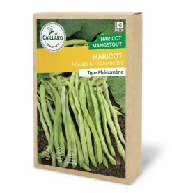 Haricot à Rames Neckarkonigin 200g CAILLARD