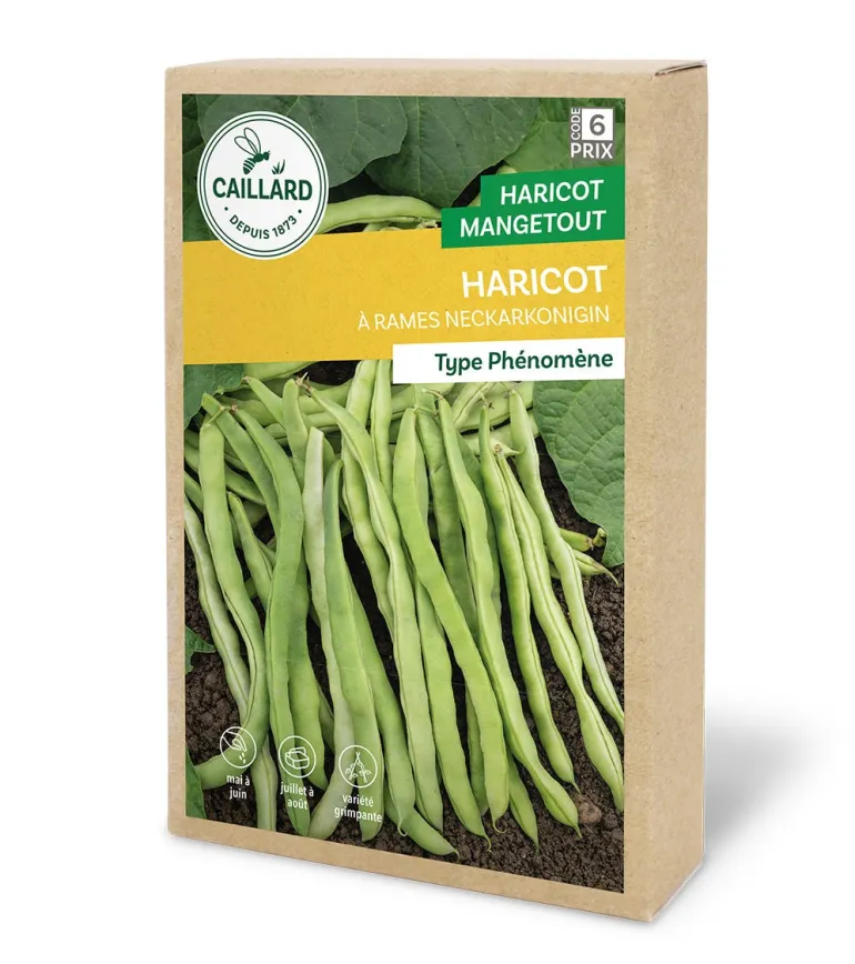 Haricot à Rames Neckarkonigin 200g CAILLARD