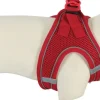 Harnais pour chien mesh rouge l ZOLUX