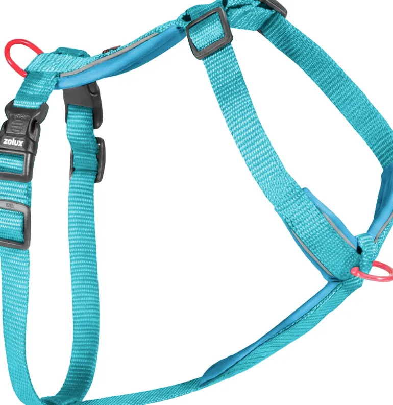 Harnais nylon premium 15mm 30/40 cm turquoise ZOLUX