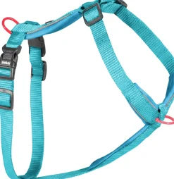 Harnais nylon premium 25mm 65/97 cm turquoise ZOLUX