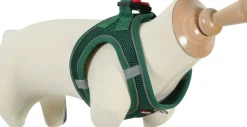 Harnais pour chien mesh vert sapin ZOLUX