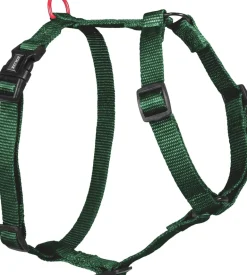 Harnais pour chien nylon classique 10mm 23/39 cm sapin ZOLUX
