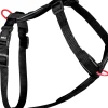 Harnais pour chien nylon premium 15mm 38/56 cm noir ZOLUX