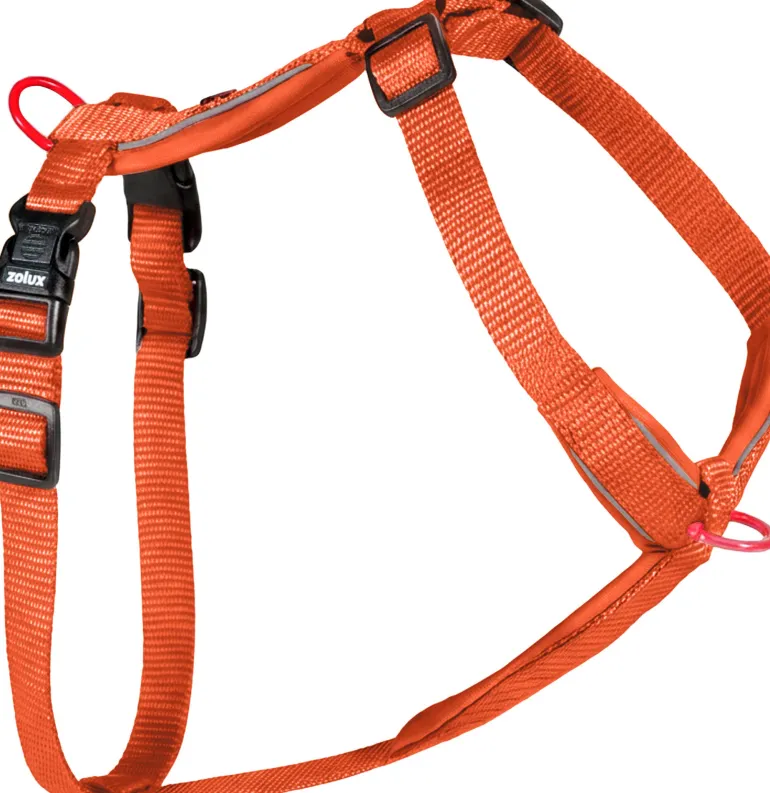 Harnais pour chien nylon premium 25mm 65/97 cm rouille ZOLUX