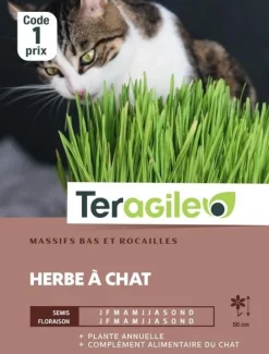 Herbe à Chat 10g TERAGILE