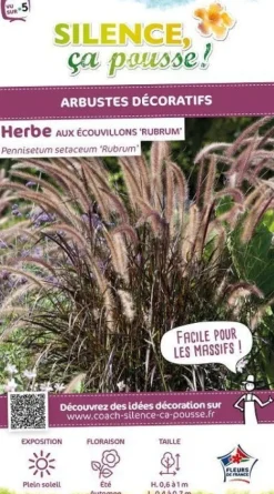 Herbe aux écouvillons soyeuse rouge Pot 4.5L