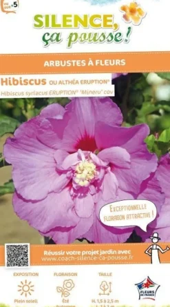 Hibiscus "Eruption Althéa" Pot 4.5L SILENCE ÇA POUSSE