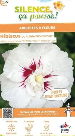 Hibiscus "French Point" Pot 4.5L SILENCE ÇA POUSSE