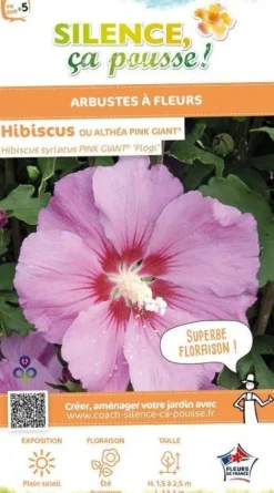 Hibiscus "Pink Giant" Pot 4.5L SILENCE ÇA POUSSE