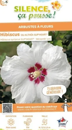 Hibiscus "Sup'Heart" Pot 10L SILENCE ÇA POUSSE