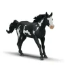 Hongre Paint Horse