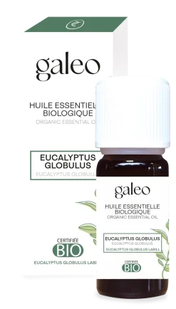 Huile essentielle bio eucalyptus globulus