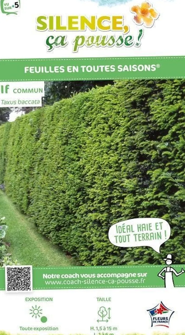If Commun Pot 2.5L 40/50cm SILENCE ÇA POUSSE