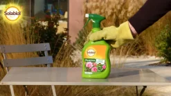 Insecticide anti-pucerons PAE spray 750 ml SOLABIOL