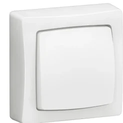 Interrupteur va-et-vient appareillage Saillie complet blanc