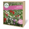 Jachère Fleurs des Champs 100g+180g vermiculite CAILLARD