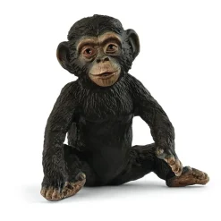 Jeune Chimpanzé