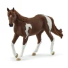 Jument Paint Horse