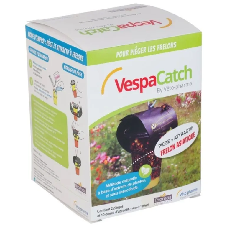 Kit pièges à frelons asiatiques VespaCatch