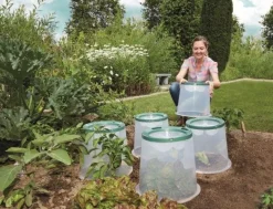 Kit 3 cloches de culture Sunny GARANTIA