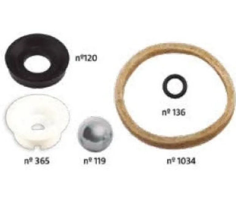Kit de réparation pour pulvérisateurs de 12 à 16L TERAGILE