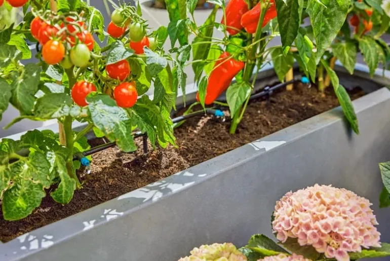 Kit d'initiation pour terrasse jusqu'à 30 plantes GARDENA