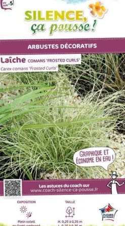 Laîche comans "Frosted Curls" Pot 2L SILENCE ÇA POUSSE