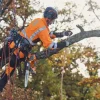 Élagueuse à batterie 36V T535i XP 30 cm HUSQVARNA