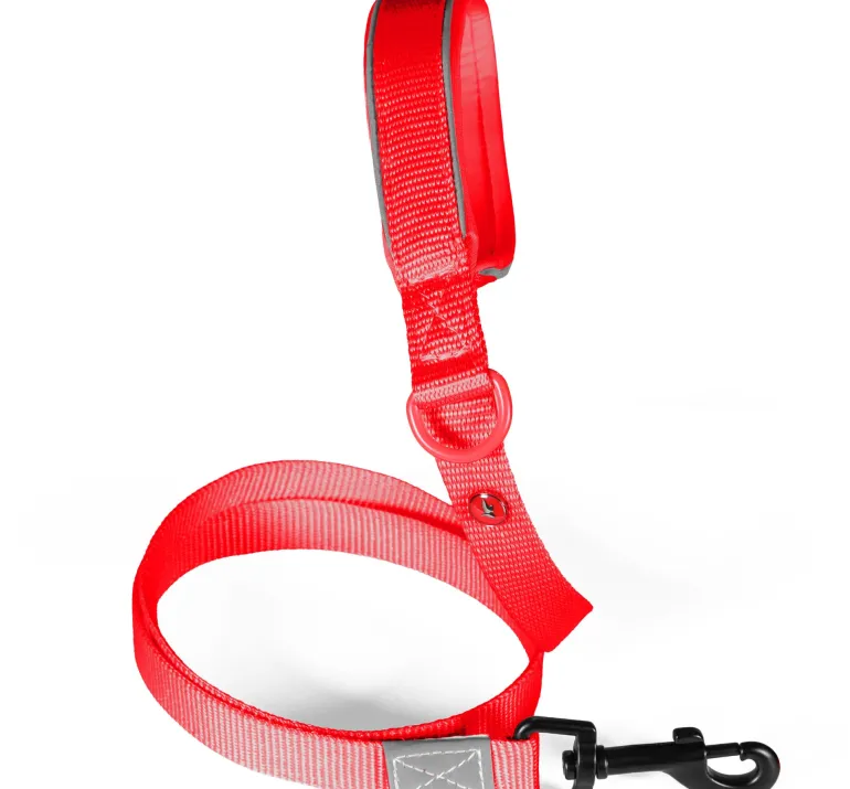 Laisse pour chien nylon premium 15mm 1,20m rouge ZOLUX