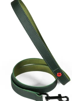 Laisse pour chien cuir classique 1m 15mm vert ZOLUX