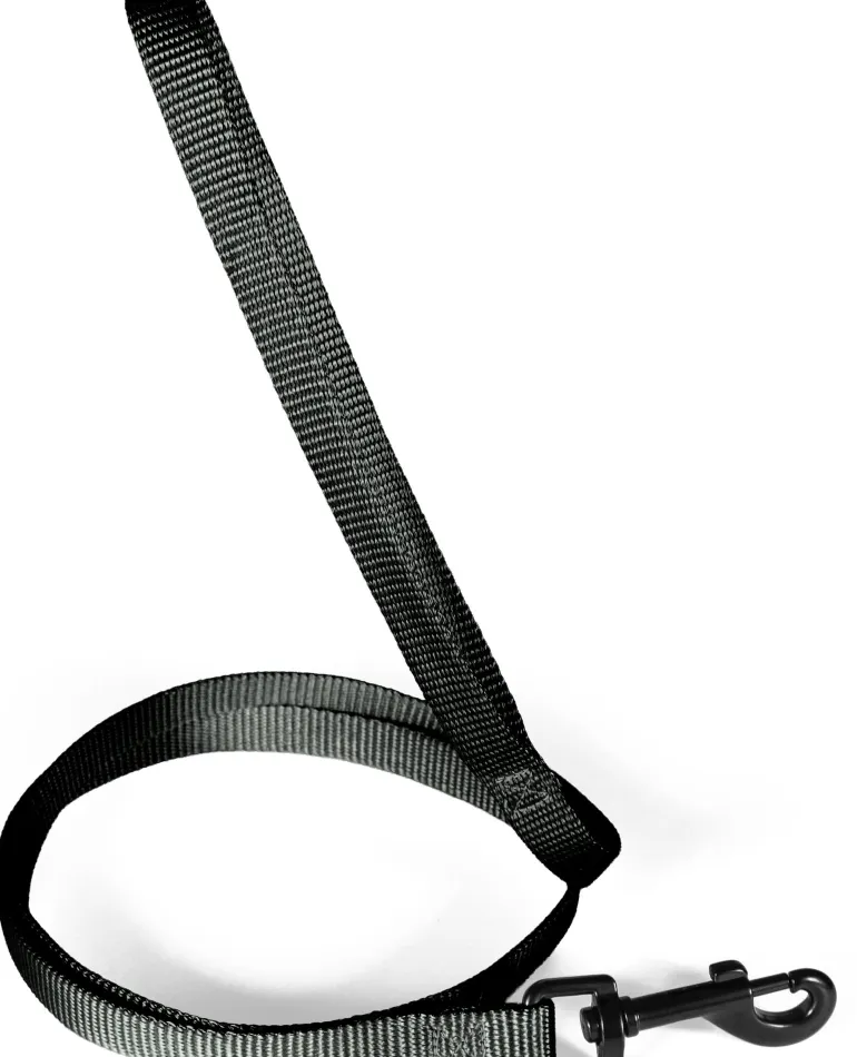 Laisse pour chien nylon classique 20mm 1,20m noir ZOLUX