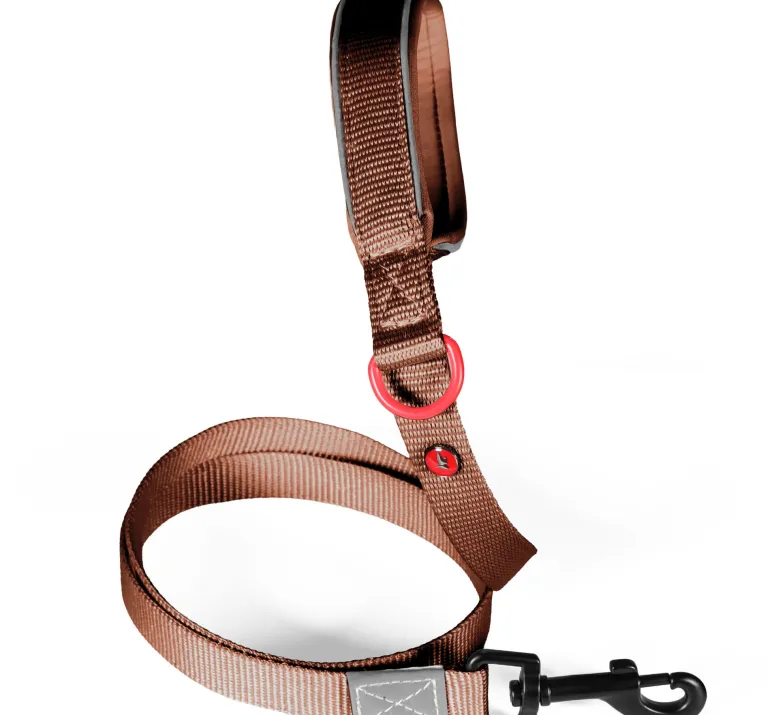 Laisse pour chien nylon premium 25mm 1,20m mocca ZOLUX