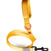 Laisse pour chien nylon premium 25mm 1,20m jaune ZOLUX
