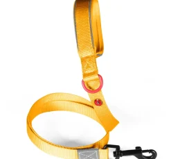 Laisse pour chien nylon premium 25mm 1,20m jaune ZOLUX