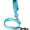 Laisse pour chien nylon premium 20mm 1,20m turquoise ZOLUX
