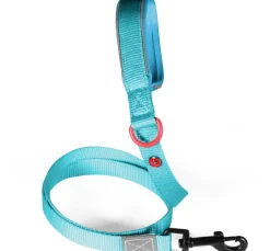 Laisse pour chien nylon premium 20mm 1,20m turquoise ZOLUX