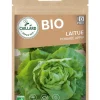 Laitue Pommée Appia Bio 2,5g CAILLARD